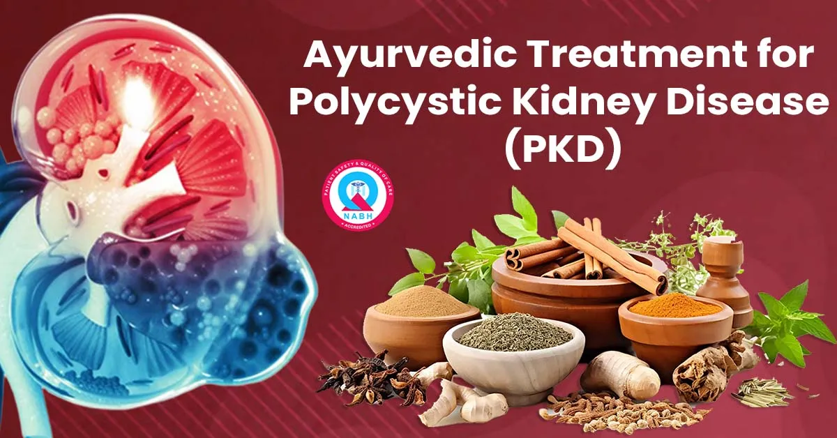 ayurvedic-treatment-for-polycystic-kidney-disease